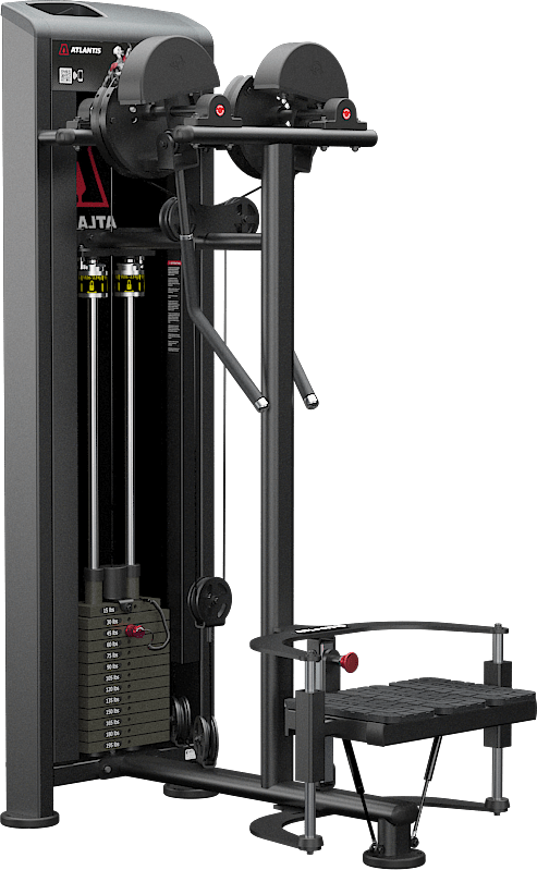 Atlantis Precision Standing Lateral Raise